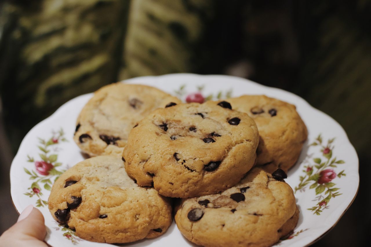 why-choose-us Close-up of freshly baked chocolate chip cookies on a ceramic plate.